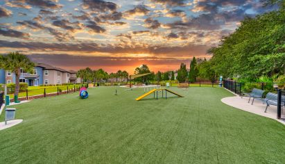 Dog Park at MAA Hampton Preserve in Tampa, FL