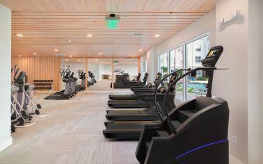 Fitness Center at MAA Harbour Island in Tampa, FL