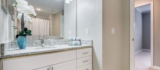 Bathroom at MAA Hyde Park luxury apartment homes in Tampa, FL