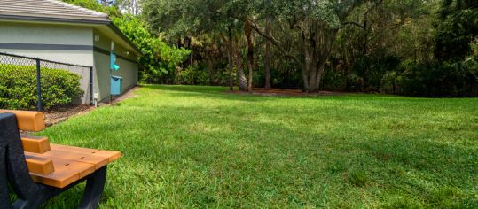 Dog park at MAA Lakewood Ranch luxury apartment homes in Tampa, FL