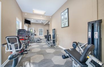 Fitness Center at MAA Palm Harbor in Tampa, FL