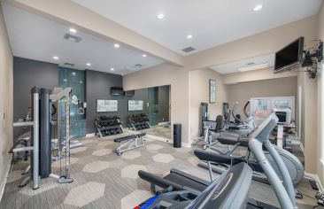 Fitness Center at MAA Palm Harbor in Tampa, FL