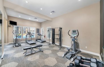 Fitness Center at MAA Palm Harbor in Tampa, FL