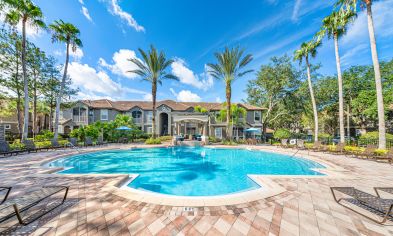 Pool at MAA Palm Harbor in Tampa, FL