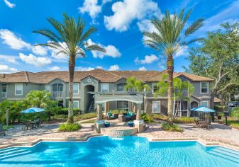 Poolside views at MAA Palm Harbor in Tampa, FL