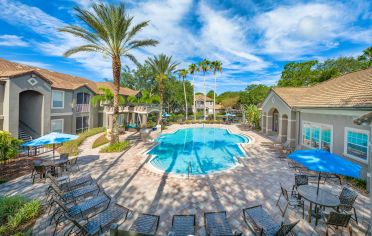 Pool at MAA Palm Harbor in Tampa, FL