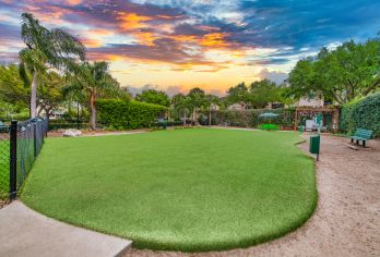 Dog Park at Post Rocky Point in Tampa, FL