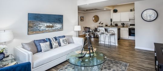 Living Room at MAA Rocky Point luxury apartment homes in Tampa, FL