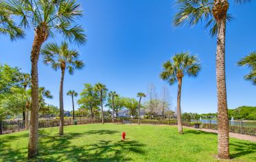 Dog Park at MAA Seven Oaks in Tampa, FL