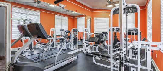 Gym at Village Oaks luxury apartment homes in Tampa, FL