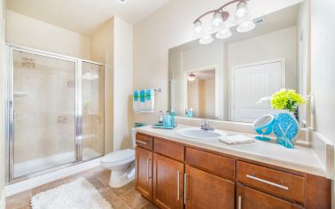 Bathroom at MAA Avala luxury apartment homes in Savannah, GA