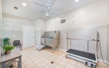 Pet Spa Room at MAA Georgetown Grove in Savannah, GA