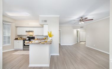 Kitchen and Living Room at MAA Hammocks in Savannah, GA