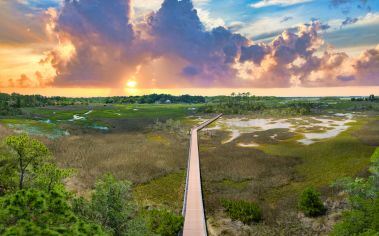 Whitemarsh Island at MAA Hammocks in Savannah, GA