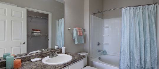 Bathroom at MAA Benton luxury apartment homes in Pooler, GA
