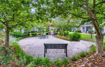 Courtyard Grilling at MAA Pinnacle luxury apartment homes in Lexington, KY