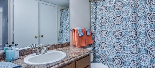 Bathroom at Lakepointe luxury apartment homes in Lexington, KY