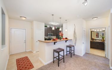 Model kitchen at MAA Ayrsley in Charlotte, NC