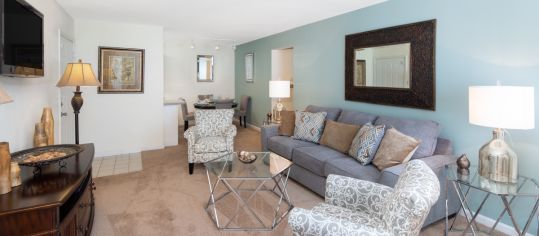 Model Living Room at MAA Legacy Park luxury apartment homes in Charlotte, NC