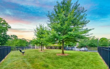 Dog Park at MAA Matthews Commons luxury apartment homes in Charlotte, NC