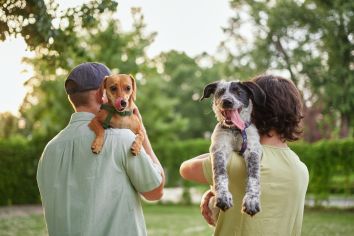 Stock image at MAA Plaza Midwood