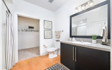 Bathroom at MAA South Line luxury apartment homes in Charlotte, NC