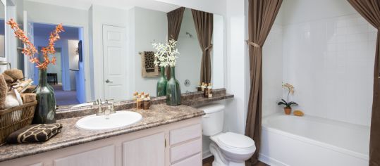 Model Master Bathroom at MAA South Tryon luxury apartment homes in Charlotte, NC