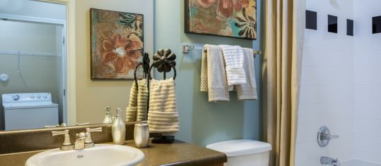 Bathroom at MAA Brierdale luxury apartment homes in Raleigh, NC