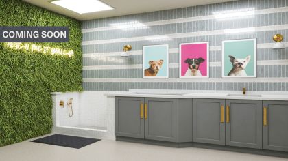Dog wash at MAA Hue luxury apartment homes in Raleigh, NC
