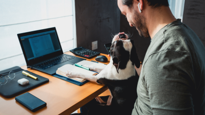 Workplace Space and puppy at MAA Nixie in Raleigh, NC