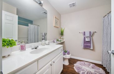 Bathroom at MAA Trinity luxury apartment homes in Raleigh, NC