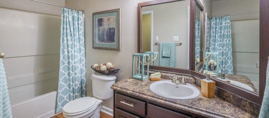 Bathroom at MAA Hampton Pointe luxury apartment homes in Charleston, SC