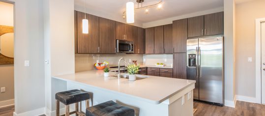 kitchen 2 at MAA Greene luxury apartment homes in Greenville , SC 