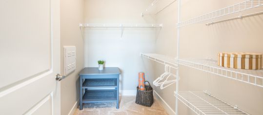 Closet at MAA Greene luxury apartment homes in Greenville , SC 