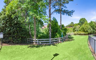 Dog park at MAA Paddock Club in Greenville, SC