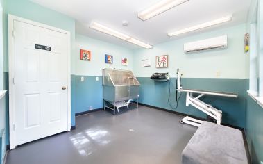 Pet spa at MAA Windridge luxury apartment homes in Chattanooga, TN