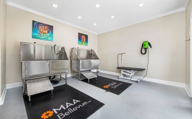 Pet Salon at MAA Bellevue in Nashville, TN