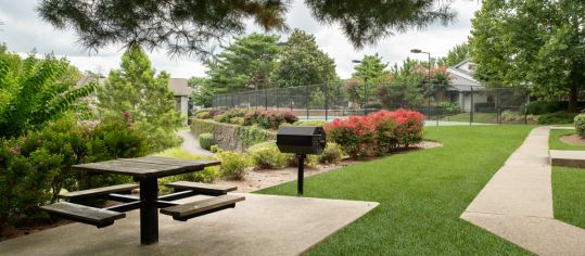 Picnic area at MAA Park luxury apartment homes in Hermitage, TN