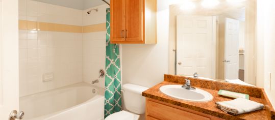 Bathroom at Colonial Grand at Canyon Creek luxury apartment homes in Austin, TX