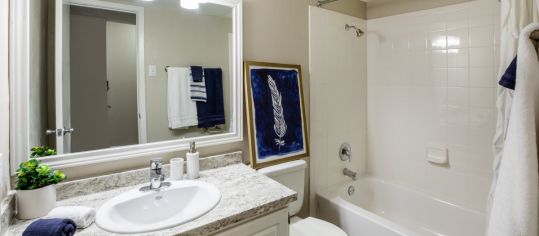 Bathroom at MAA Barton Skyway luxury apartment homes in Austin, TX