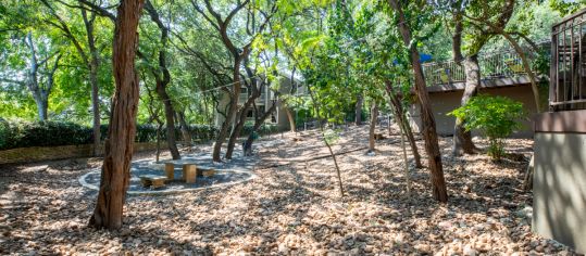 Dog Park at MAA Barton Skyway luxury apartment homes in Austin, TX