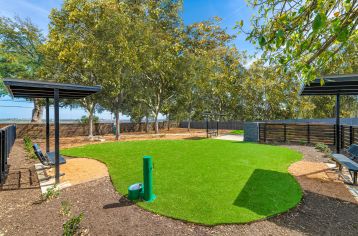 Dog Park at MAA East Austin luxury apartment homes in Austin, TX