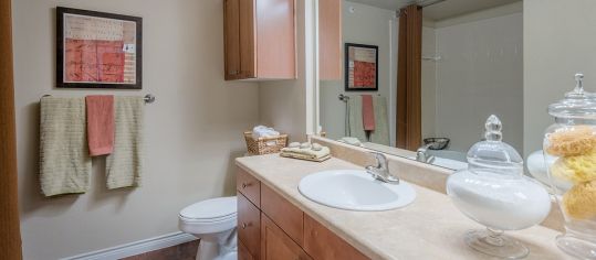 Bathroom at MAA Copper Ridge luxury apartment homes in Dallas, TX