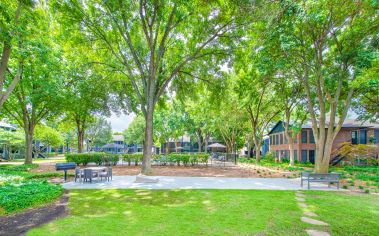 Grill and picnic area at MAA Highlands North luxury apartment homes in Dallas, TX