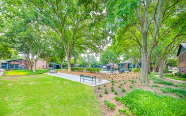 Grill and picnic area at MAA Highlands North luxury apartment homes in Dallas, TX