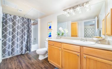 Bathroom at MAA Los Rios luxury apartment homes in Plano, TX