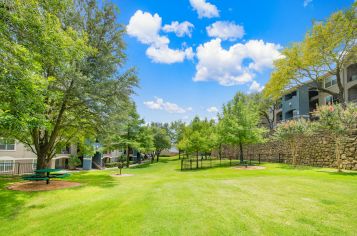 Picnic area at MAA Los Rios luxury apartment homes in Plano, TX