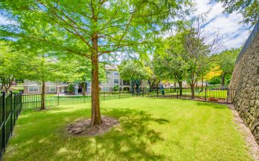 Dog Park at MAA Los Rios luxury apartment homes in Plano, TX