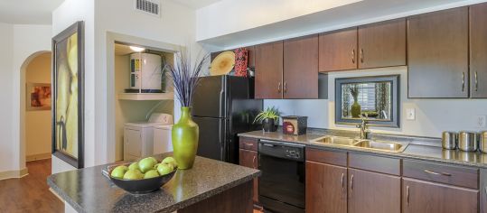 Kitchen at MAA Lowes Farm luxury apartment homes in Mansfield, TX