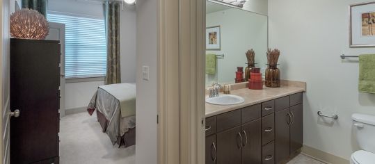 Bathroom at MAA Lowes Farm luxury apartment homes in Mansfield, TX